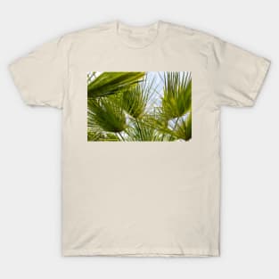 Palm leaves against blue sky T-Shirt